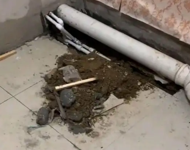 丽江市卫生间漏水检测哪家好